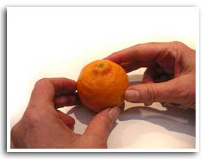 FAQ -- Ojai Pixie Tangerines