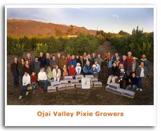 growerpic