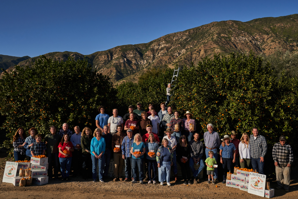 OjaiPixie_2 Ojai Pixie Tangerines